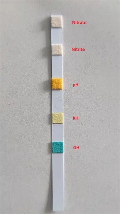 jura naa test strip instructions